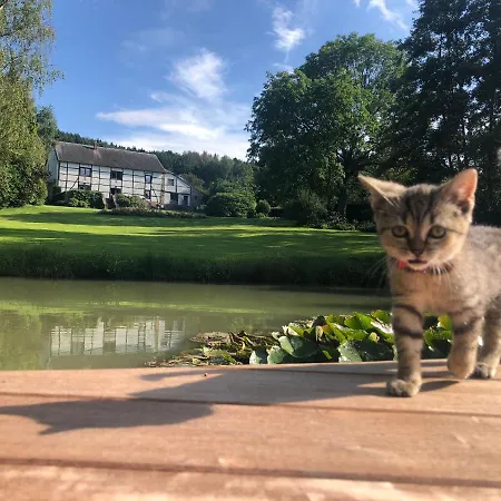 Vakantiehuis L'hoursinne