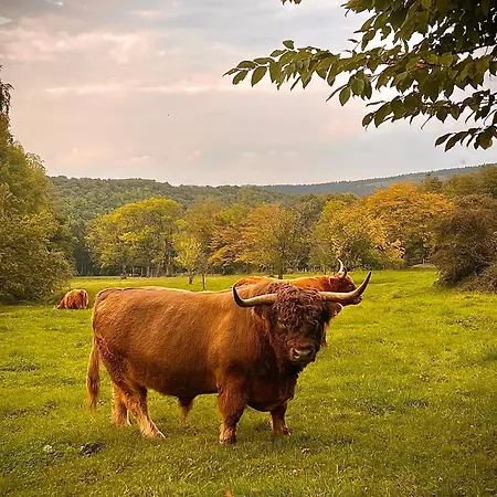 L'hoursinne Casa vacanze *
