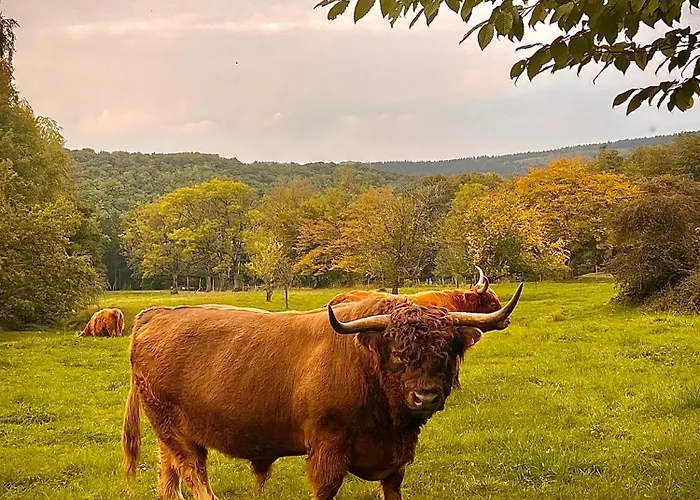 L'hoursinne Casa vacanze *